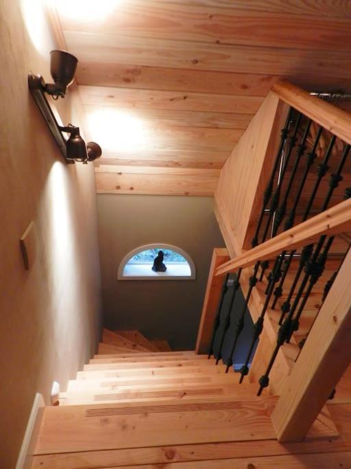 Tiny House Tholen Villa Ngoại thất bức ảnh